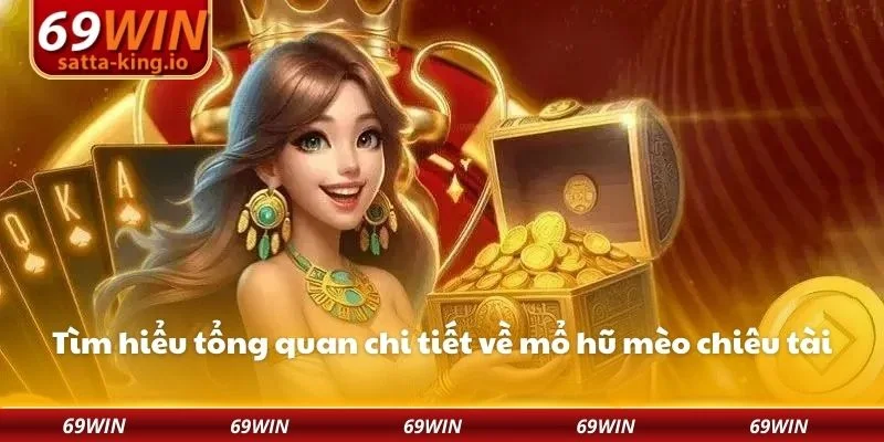 Tìm hiểu tổng quan chi tiết về mổ hũ mèo chiêu tài